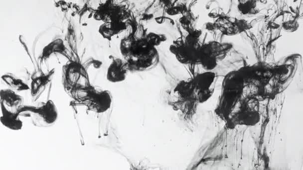 Encre noire mouvement pollution de l'eau mouvement tourbillonnant — Video