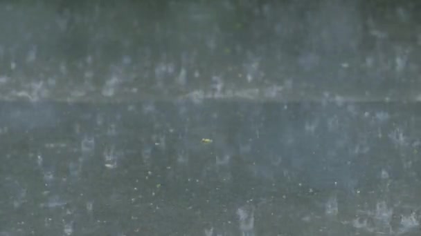 Zware regen vallende asfalt regendruppels spetteren — Stockvideo