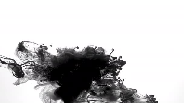 Black ink motion water pollution swirling motion — Stock Video