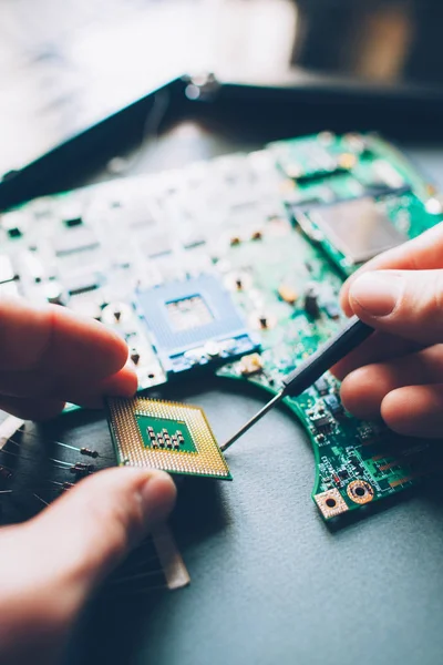 Hardware Maintenance Engineer installeren van CPU — Stockfoto