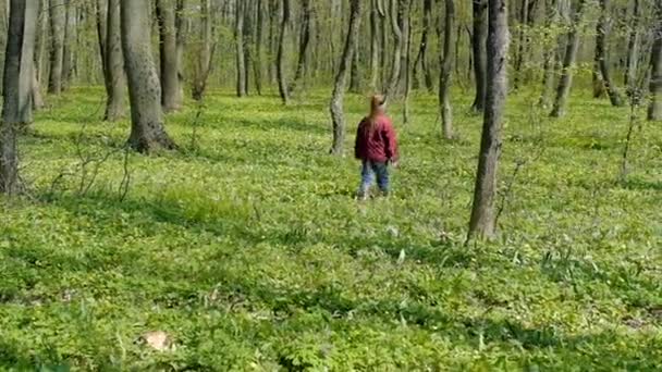 Lente bos kind recreatie meisje lopen groen — Stockvideo
