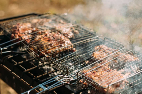 Festa pic-nic festival cibo all'aperto costole barbecue — Foto Stock
