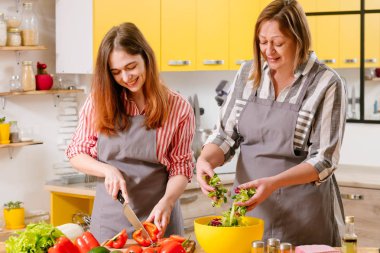 aile eğlence pişirme salatası doğal sebze