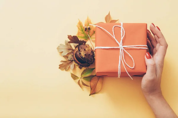 Höst dekoration gift box höstlöv Chestnut — Stockfoto
