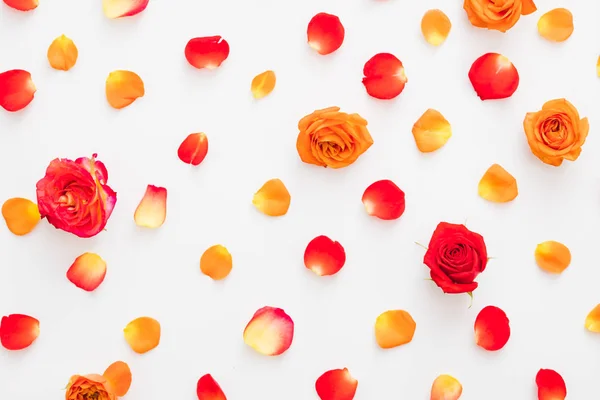 Çiçek dekorasyon kırmızı gül tomurcukları yaprakları arka plan — Stok fotoğraf