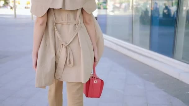 Iş kadını kentsel yaşam tarzı moda yürüyüş — Stok video