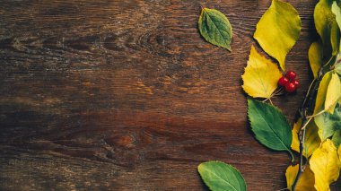 sonbahar rustik dekor ahşap arka plan sonbahar yaprakları