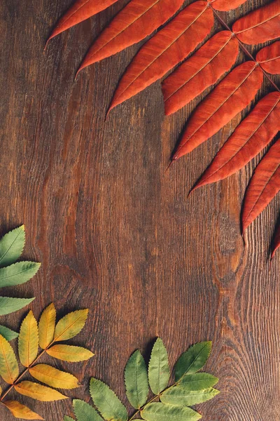 Herfst rustieke decor houten achtergrond herfst bladeren — Stockfoto