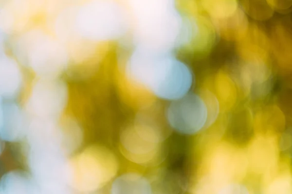 황금 흰색 보케 조명 추상적 인 배경 — 스톡 사진