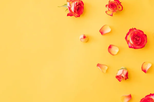 花のグリーティングカードバラの花びらオレンジの背景 — ストック写真