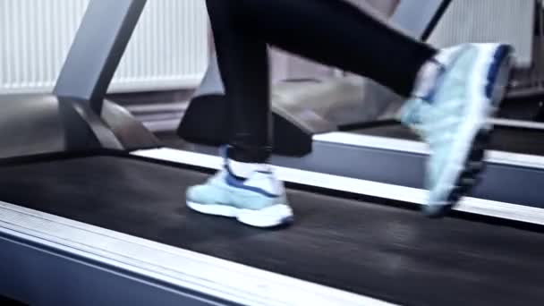 Spor salonu eğitim kardiyo egzersiz bacaklar koşu bandı çalışan — Stok video