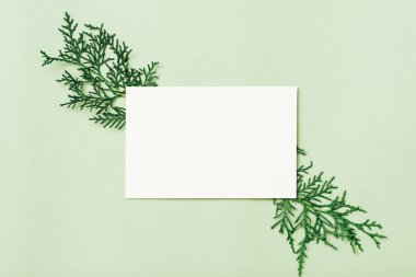 arka plan beyaz kağıt Mint parti