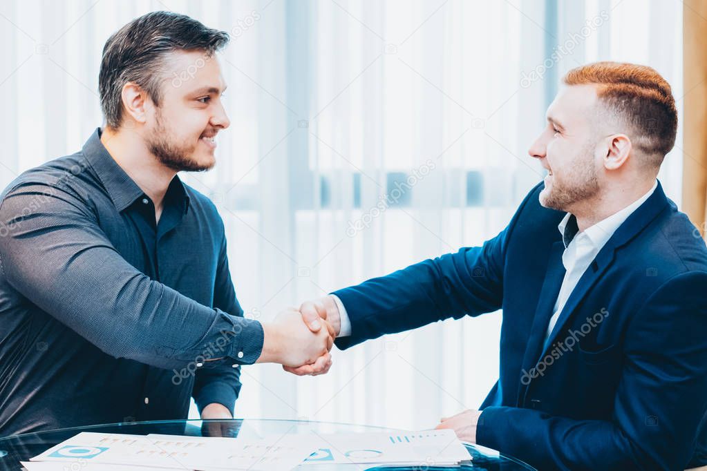 professional business partners shaking hands