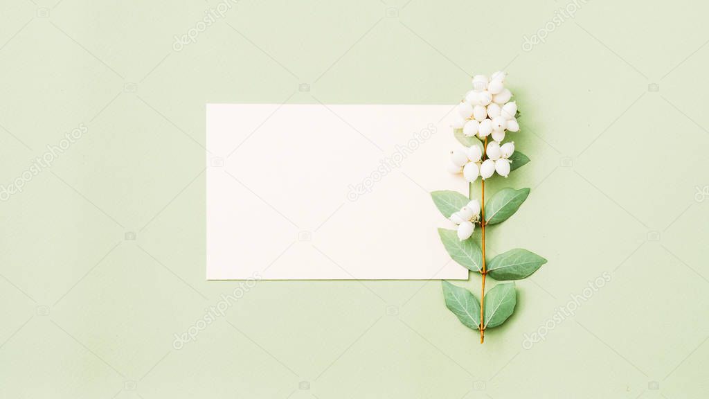 party invitation white paper mint background