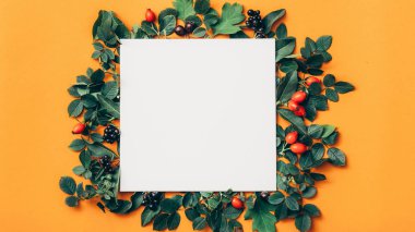 tebrik kartı beyaz yeşil çiçek çerçeve turuncu