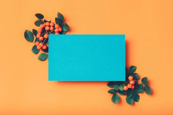 Blumen Grußkarte blaues Papier orange Hintergrund — Stockfoto