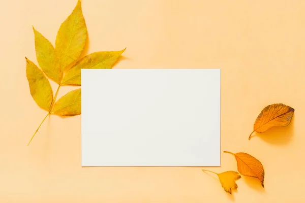 Höst gratulationskort vitt papper persika bakgrund — Stockfoto
