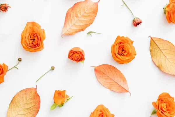 Autumn floral pattern background rose buds — Stock Photo, Image