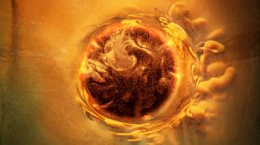 mürekkep karışımı numeroloji falı altın renkli daire