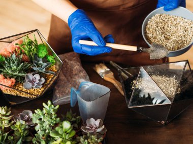 diy florarium toprak gün ahşap talaş toprak vazolar