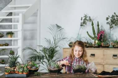 diy florarium bahçe hobi kız sulu