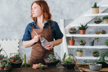 diy florarium bitkiler hobi sulu büyüyen