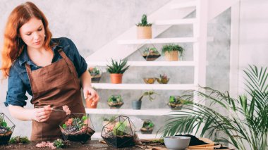 diy florarium el yapımı doğal hediye sulu