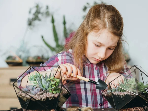 DIY florarium kreativ hobby växande suckulenter — Stockfoto