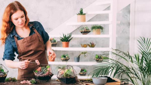 DIY florarium handgjorda naturlig gåva suckulenter — Stockfoto