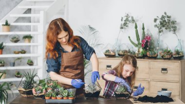 diy florarium yaratıcı hobi dikim sulu