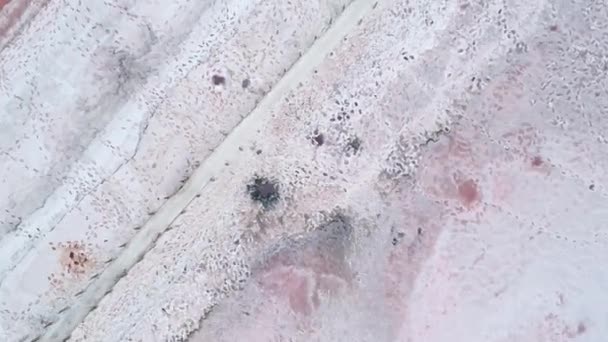 Екзотична природа пейзаж сухе солоне озеро рожева вода — стокове відео