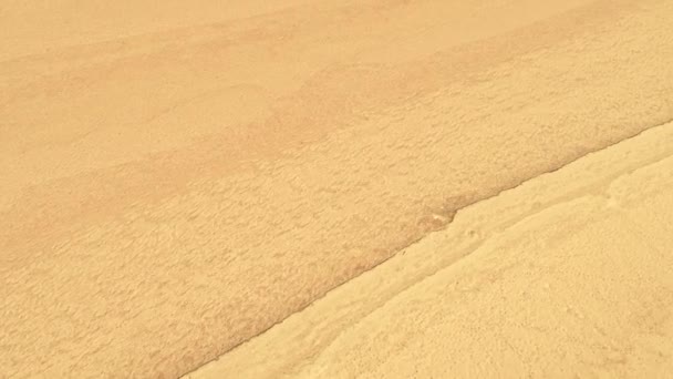 Природный туризм золотой песок пустыни — стоковое видео