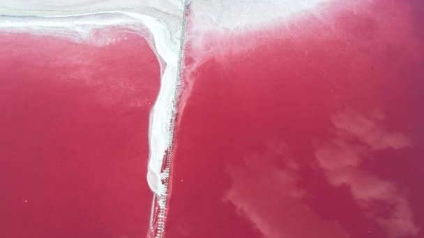 野生自然区粉红盐湖光滑清水 — 图库视频影像