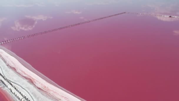 Exotiska naturlandskap rosa Salt Lake klart vatten — Stockvideo