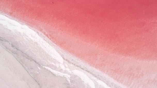 Recurso mineral natural rosa agua de lago salado — Vídeo de stock