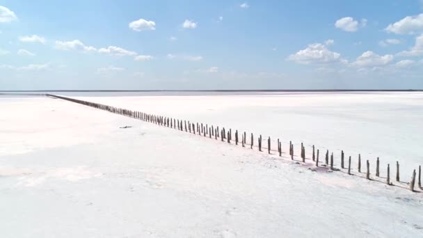 Nature reserve white salt lake pink water blue sky — Stock Video