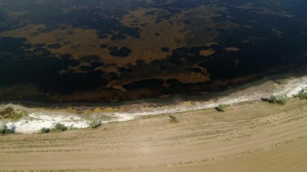 Naturlandskap landsbygd sjövatten reservat — Stockvideo