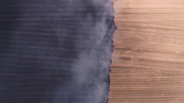 Agricultura destrucción de tierras quema campo agrícola — Vídeo de stock