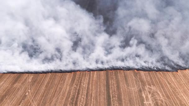 Pollution atmosphérique incendie smog brûlant champ agricole — Video