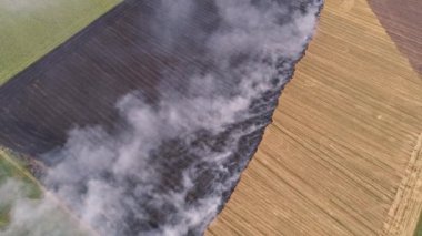 kırsal alan yangını yanan ekolojik felaket