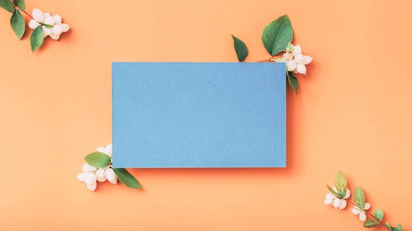 Festliche Grußkarte blaues Papier Pfirsich Hintergrund — Stockfoto