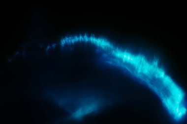 neon mavi ışık lens parlama plankton kızdırma etkisi