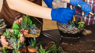 diy florarium bahçe ana sınıf sulu