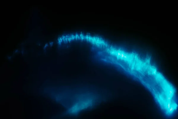 Neon mavi ışık lens parlama plankton kızdırma etkisi — Stok fotoğraf