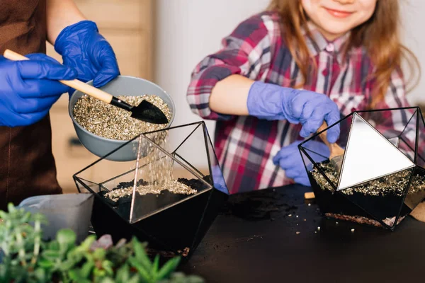 Diy florarium tierra día madera virutas tierra jarrones —  Fotos de Stock