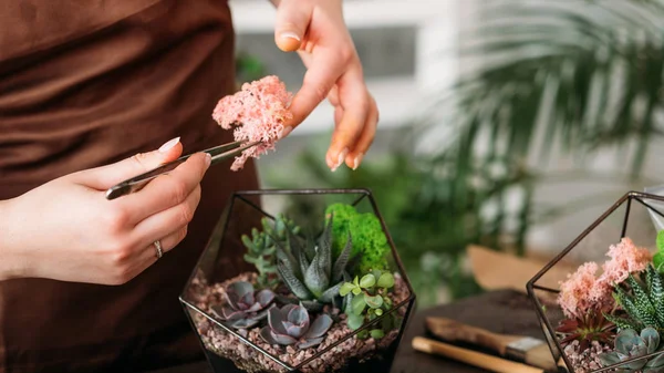 DIYフローリウム手作りの自然な装飾多肉植物 — ストック写真