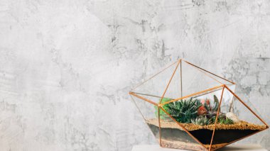 diy florarium el yapımı doğal hediye sulu