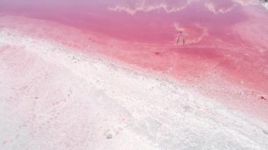 sınırsız doğa sahne pembe tuz göl suyu