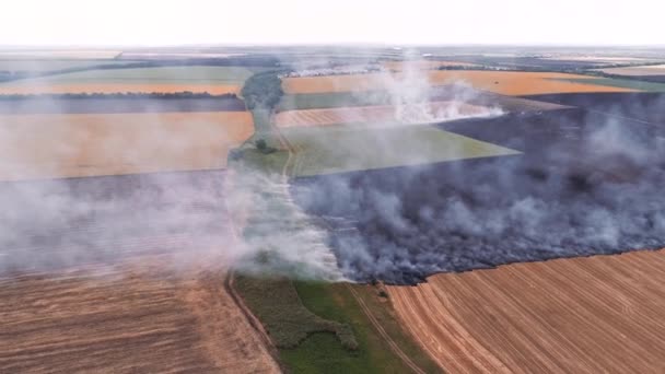 Desastre natural quema campo rural humo de fuego — Vídeos de Stock