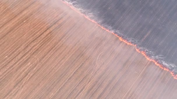 Klimaatverandering gevaar brandende landelijke veld brand — Stockvideo